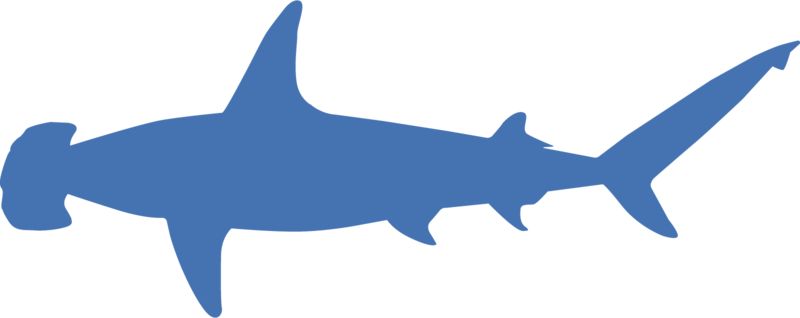 clipart hammerhead shark