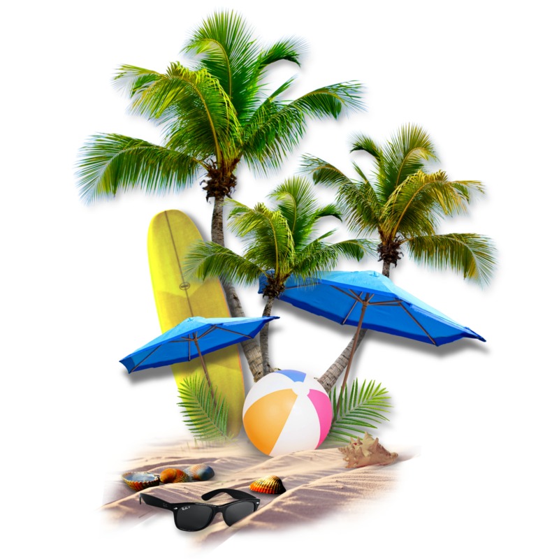 beach and coconut tree background summer time Template