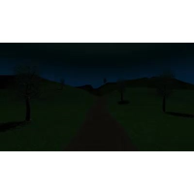 ID# 17795 - Sunrise on a Path - Video Background